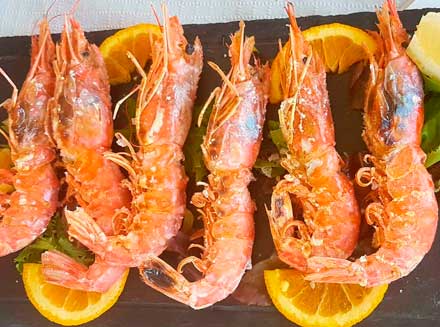 Chiringuito Pepe Oro Torrox Málaga